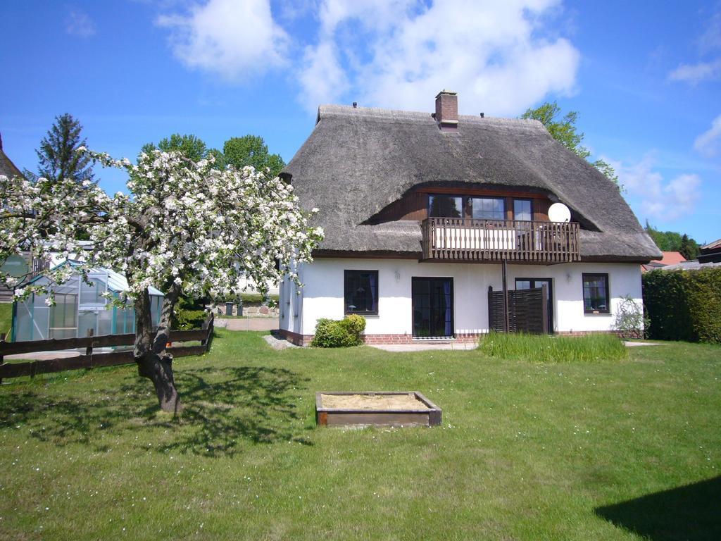 Ferienhaus Moewe Lancken-Granitz Rum bild